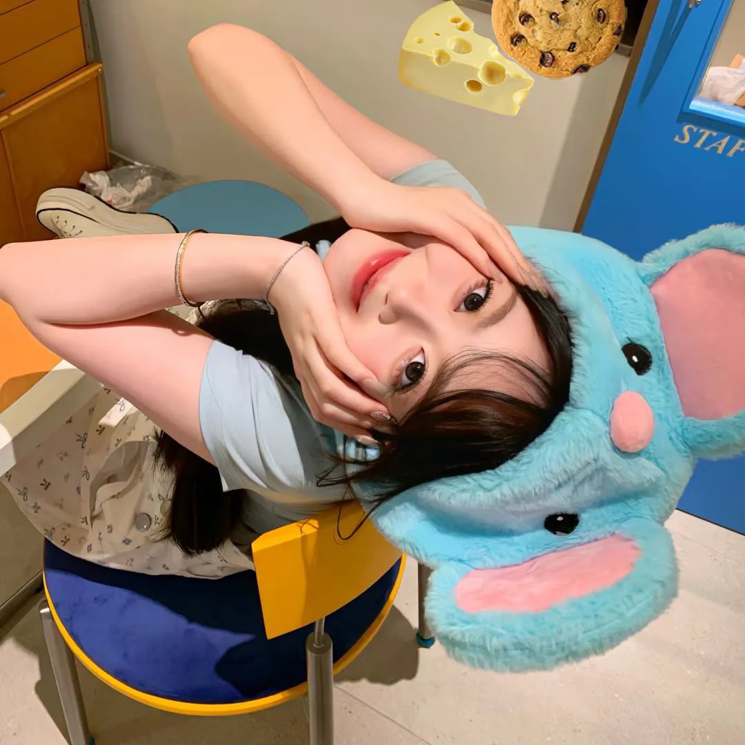不得不爱第二季