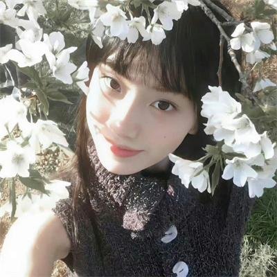 琵琶怨